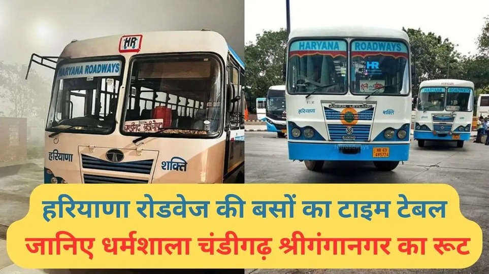Haryana Roadways Time Table: हरियाणा रोडवेज की बसों का टाइम टेबल, जानिए धर्मशाला चंडीगढ़ श्रीगंगानगर का रूट