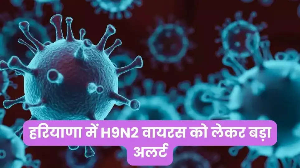 H9N2 Virus